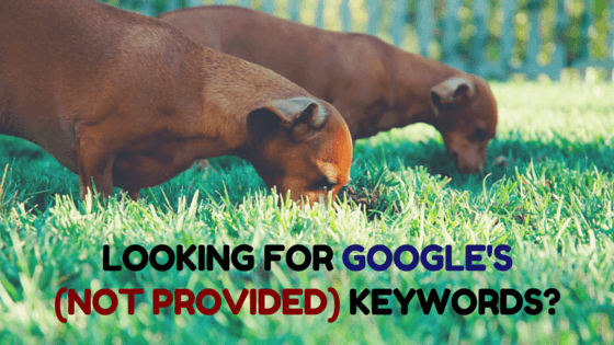 Uncovering (Not Provided) Keyword Data in Google Analytics