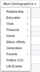 more demographics section facebook
